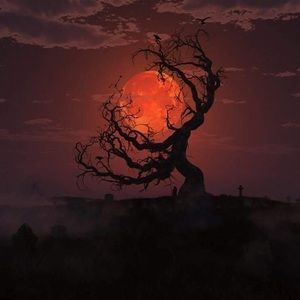 Meet your Posher, Erik